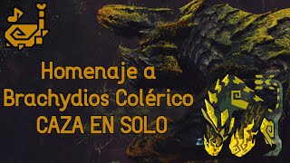 BATALLA DE HOMENAJE A BRACHYDIOS COLÉRICO EN SOLO CON CORNAMUSA [upl. by Remat]