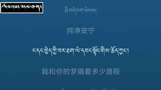 2024 Tibetan Song [upl. by Idnam896]