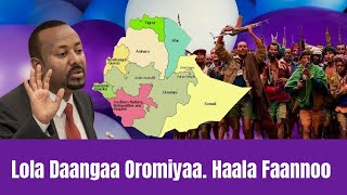 Lola Daangaa Oromiyaa Faannoo Wallaggaa Keessatti Tarkaaffii Fudhate [upl. by Ainala664]