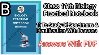 Class 11th Biology Practical Notebook B 1To Study Of Specimens amp Identification With Reasons B [upl. by Nitsrek665]