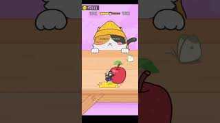 Hide And Seek  Cat 🐈 Escape Game  Level7691  Satisfying Gameplay games shorts hideandseek [upl. by Aliuqat]