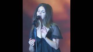 Lana Del Rey  Summertime Sadness live shorts [upl. by Auvil]