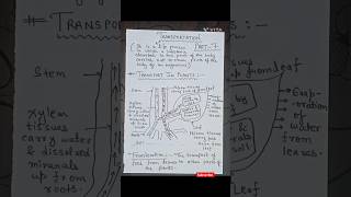 Transportation in Plants class 10 biology ncert notes  Life Processes Part7  shorts [upl. by Umberto929]