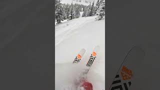 INSANE POWDER SKIING 😁 ❄️ [upl. by Bethesda]