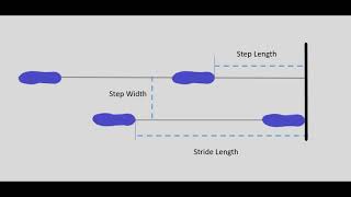 Understanding the Basics of Gait [upl. by Noired]