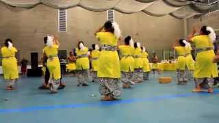 Feagaiga O Alii Utah Samoan Cricket Event 2015 [upl. by Esmond383]