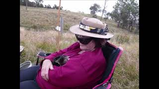 Glen Innes NSW Gemstone Fossicking Site 2 Pretty Valley [upl. by Eisdnil]