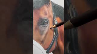 Tip to add depth to your coloured pencil drawings on drafting film 🥰 bonnysnowdonacademy arttips [upl. by Adolph]