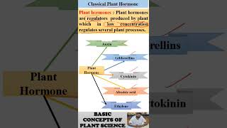 Plant Hormone shortvideo viralshorts trending [upl. by Cattier]