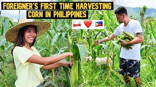 Foreigners First Time Harvesting Corn In Philippines [upl. by Hachmin]