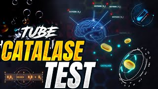 Animated Tube catalase test procedure  Principle  Requirements  Discussion of tube catalase test [upl. by Irrabaj]