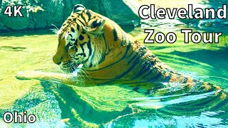 Cleveland Metroparks Zoo Tour  Cleveland Ohio  USA 4K [upl. by Octavia890]