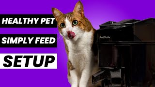 How to setup and program the petsafe automatic feederULTIMATE GUIDE [upl. by Norvol]