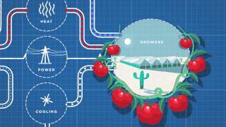 Sundrop Farms Explained [upl. by Enair]