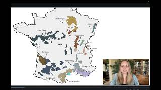 The Wines of Rhone Valley Quick Class [upl. by Jori]