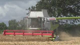 Harvest 2023 Claas Lexion 6700 [upl. by Michella136]