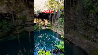 Cenote Espectacular en Mexico travel mexico cenote cancun [upl. by Tila853]