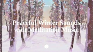 Therapy Magical Frozen Forest Ambience with Relaxing Music  Snowfall Sounds in Winter Landscape [upl. by Plante]