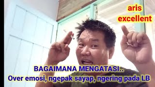 TIPS LOVEBIRD  BAGAMAINA MENGATASI OVER EMOSI NGEPAK SAYAP NGERING PADA LOVEBIRD [upl. by Allimrac]