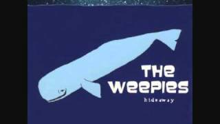 The Weepies  Antarctica [upl. by Noraha897]