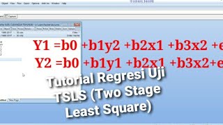 Tutorial Regresi TSLS Two Stage Least Square Persamaan Simultan Di Jamin Langsung Bisa [upl. by Ecirpac973]