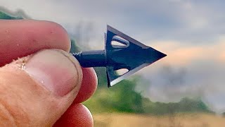 BEST BROADHEADS on MARKET Tooth of the Arrow Review [upl. by Adnarim992]