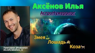 Китайский гороскопТотемология🐉 Змея  Лошадь  Коза  Истинная суть и их маски 🎭 [upl. by Attej]