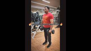 Zottman curl exercise shortsvideo motivation [upl. by Eeslehc843]