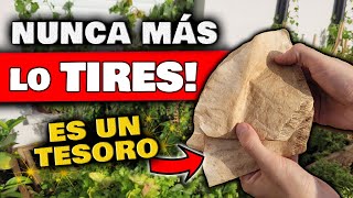 ¡NO LO TIRES Es ESENCIAL para MACETAS y PLANTAS de tu Huerto Urbano  Jardin y Huertas Urbanas [upl. by Ecirtnas]