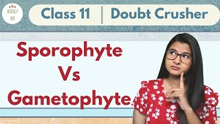 Sporophyte Vs Gametophyte  CLASS 11  Doubt Crusher [upl. by Handbook]