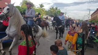 Tepalcatepec Michoacan Fiesta 12122018 [upl. by Ecinad]