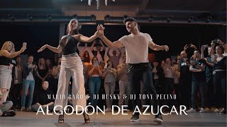 Algodón de azúcar🔥  LUIS Y ANDREA bachata  Mario Baro Dj Husky amp Dj Tony pecino 📍Brussels 🇧🇪 [upl. by Orhtej]