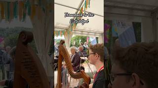 Throwback to the Eisteddfod eisteddfod folk wales welshmusic [upl. by Suinotna50]