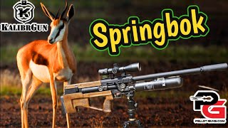 PCP Air Rifle KalibrGun Springbok W SemiAuto [upl. by Yentuoc935]