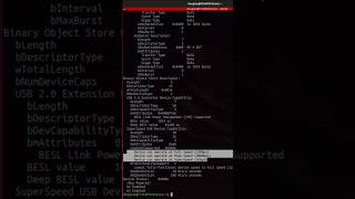 Enumerate Linux Devices With lsusb [upl. by Javler41]