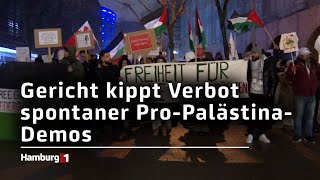 Gericht entscheidet Verbot spontaner ProPalästinaDemos gekippt [upl. by Orfinger898]