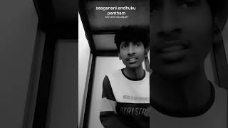 seethamma vakitlo sirimalle chettu movie song [upl. by Llehsram]