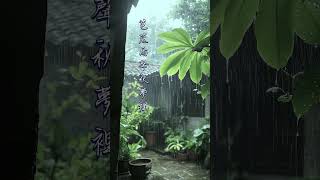 芭蕉雨聲秋夢裡 nature relaxingmusic [upl. by Barbee406]