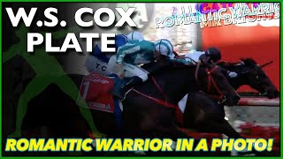 2023 Cox Plate  Romantic Warrior Wins [upl. by Collis]