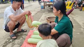 Picking gourds to sell at the market  daily life [upl. by Rauch439]