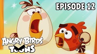 Angry Birds Toons  Happy Hippy  S3 Ep12 [upl. by Meunier]