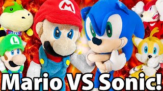 Crazy Mario Bros Mario VS Sonic [upl. by Ledarf69]