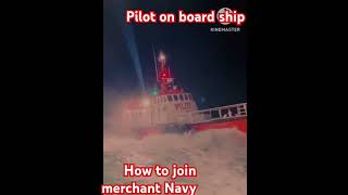 Pilot👨‍✈️️ on board shipviralvideos travel rolingshipviralvideos navy life [upl. by Nunes]