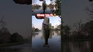 Try a Tube Fishing Fly for Bass fishing bassfishing flyfishing [upl. by Aihseya]