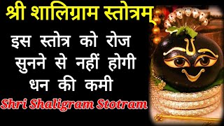 Shri Shaligram Stotra श्री शालिग्राम स्तोत्र  दुःख कष्ट निवारण व धन प्राप्ति के लिए नित्य सुनें [upl. by Sink636]