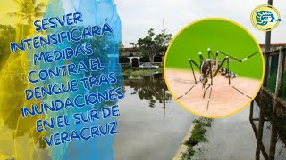 Sesver intensificará medidas contra el dengue tras inundaciones en el sur de Veracruz [upl. by Harutak]