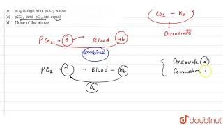 CO2 dissocated from carbamino haemoglobin when [upl. by Vere]