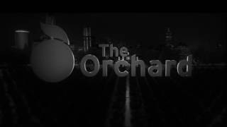 AAIN Logo Part 1 quotStudio 37  The Orchard  Diaphanaquot [upl. by Nerra421]