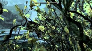 Lets Play The Elder Scrolls TES V  Skyrim 091  Auf der Suche nach dem Priester [upl. by Tris241]