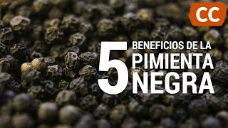 5 Beneficios de la Pimienta Negra  Ciencia de la Comida [upl. by Aracahs]